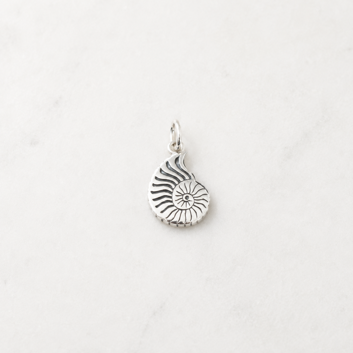 Shark Eye Shell Charm - Sterling Silver