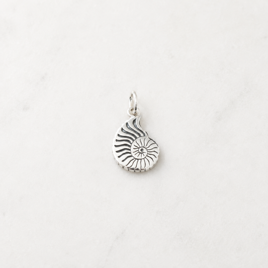 Shark Eye Shell Charm - Sterling Silver